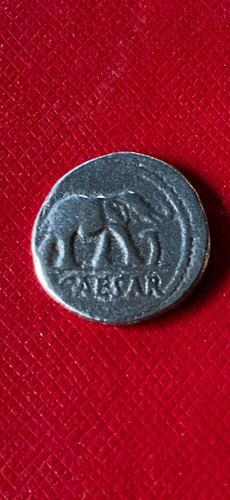Julius caesar denarius coin - julius,