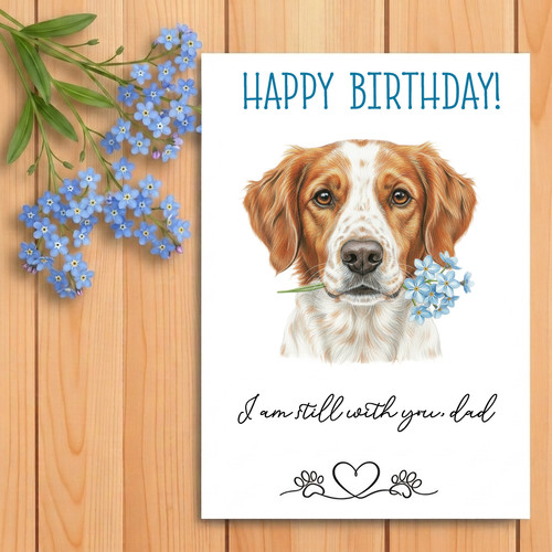 Brittany spaniel dog - brittany,