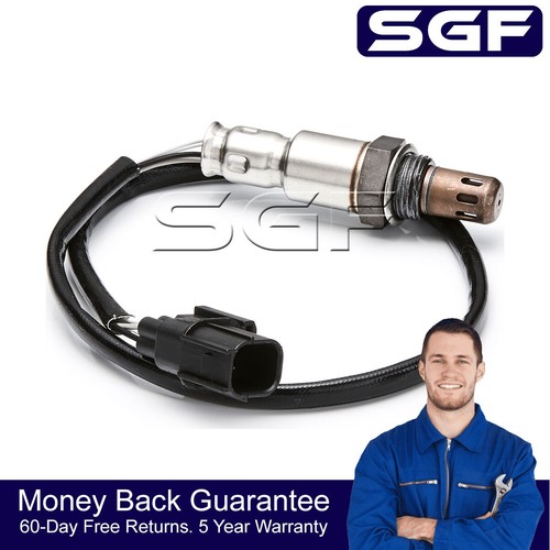 Sgf rear wire oxygen o2 - sgf,