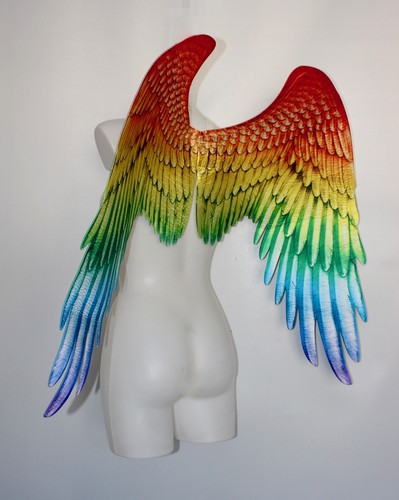 Large rainbow angel - large, wings