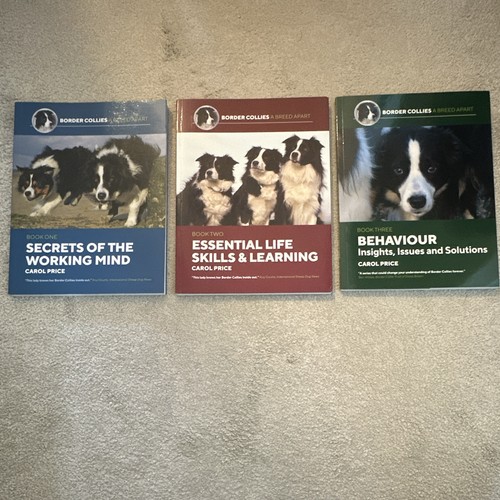 Border collies breed - a, apart
