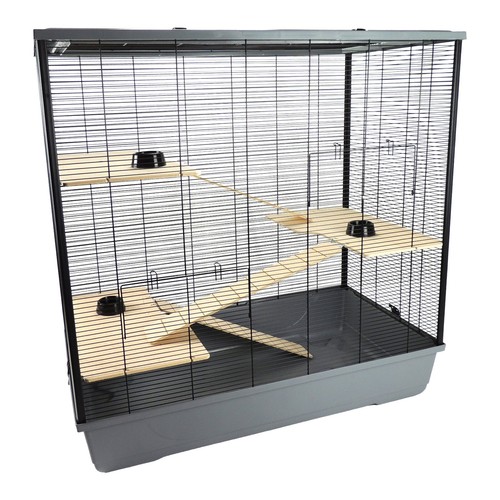 Rat hamster pet animal - hamster,