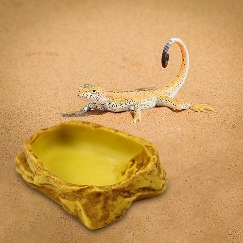 Reptile water bowl resin - water,
