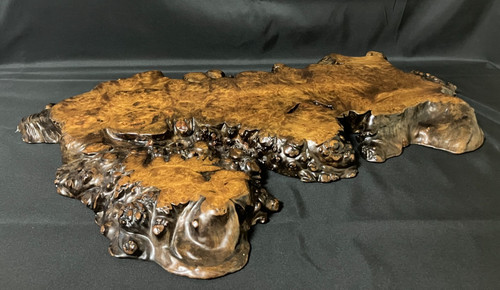 Japanese burl wood display - burl,
