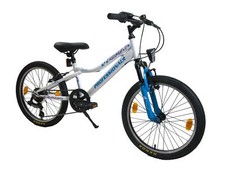 Bloom 20" Wheel 10" Frame 6