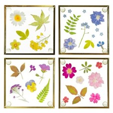 Sass & Belle Flower Print