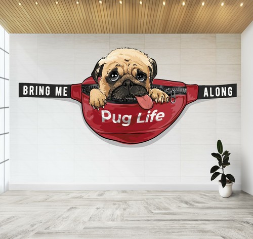 Cute puppy dog pet - cute,
