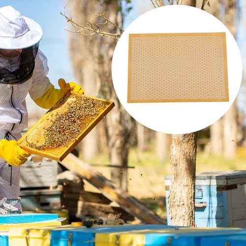 Frame queen bee excluder - bee,