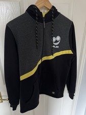 Alton Towers The Smiler grey