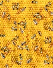 Fat Quarter Honey Bee on