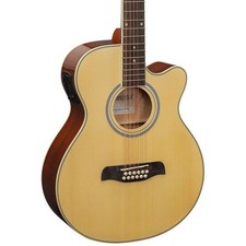 Brunswick Electro Acoustic