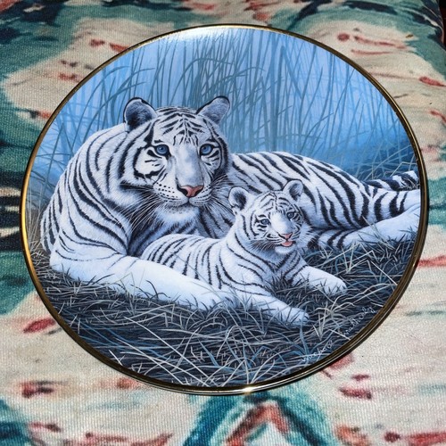 Beautiful white tigers - beautiful,