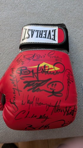 Everlast multi signed boxing