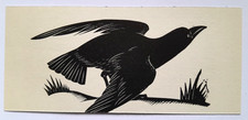 GIBBINGS RAVEN BIRD PRINT of a Woodcut Engraving C1934
