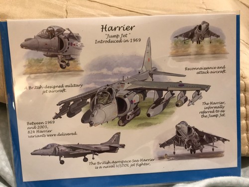 Greeting card harrier jump - greeting,