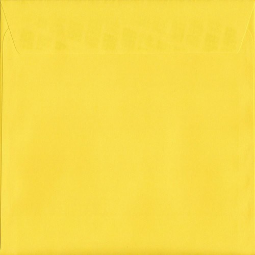 Canary yellow 220mm - x,