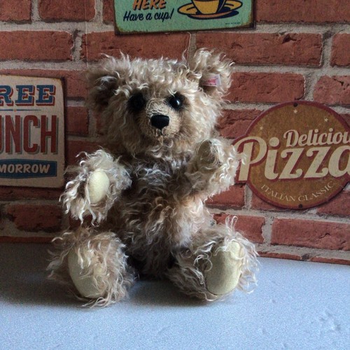 Gorgeous curly mohair grizzly - gorgeous,