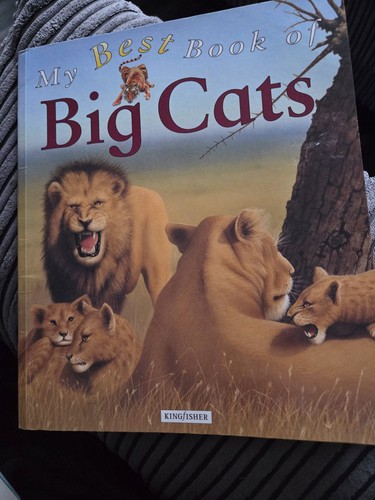 Childrens book the best - childrens,