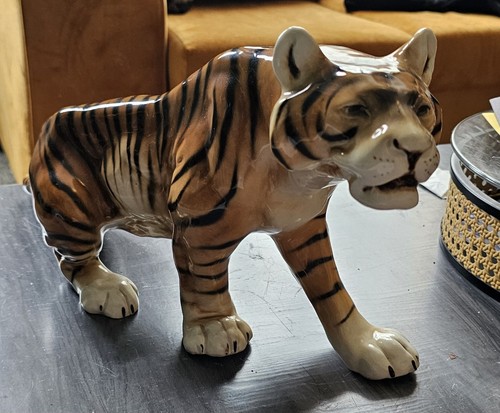 Large czechoslovakia bengal - large,