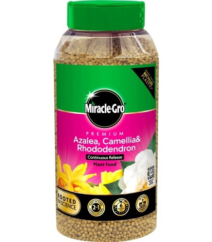 Miracle gro azalea plant feed - plant,