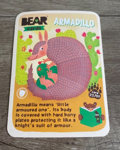 Bear yoyo card - bear, armadillo