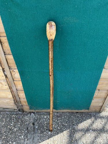 Spalted beech shillelagh - beech, on