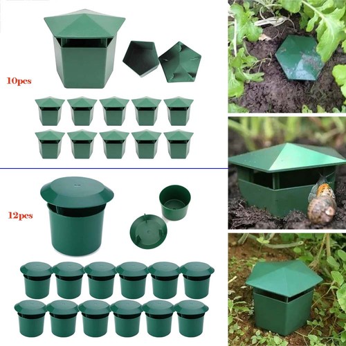 12pc beer slug snail - beer,