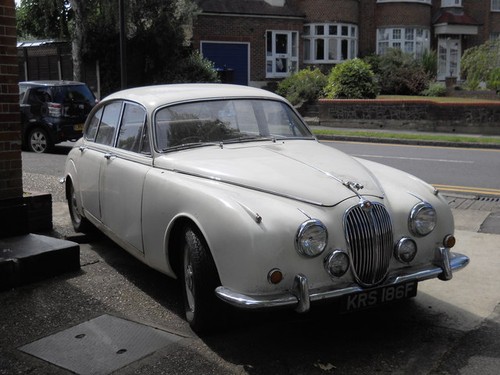 Photo 12x8 jaguar mark - jaguar,