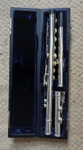 Flute musical instrument - flute,