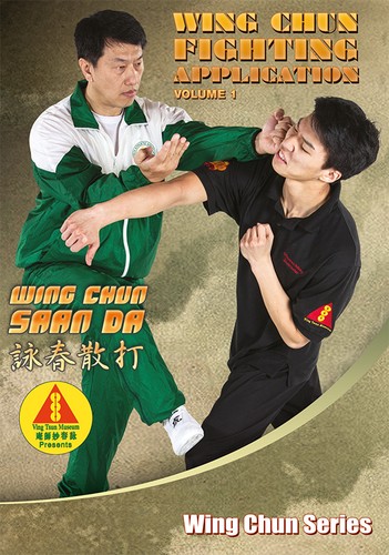 Wing chun fighting - wing, application