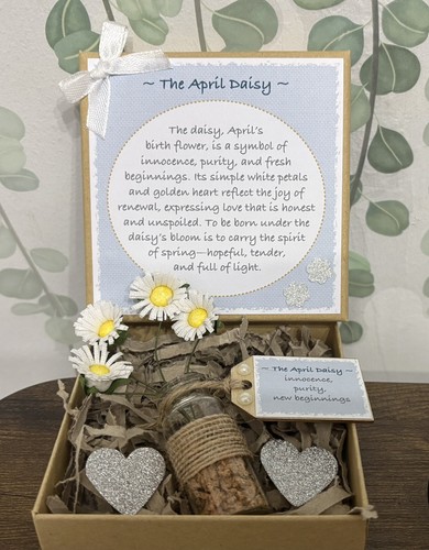 The april daisy - ‘the, daisy’