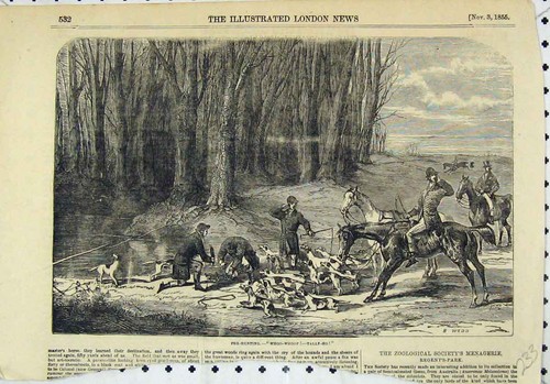Original old antique print - original,