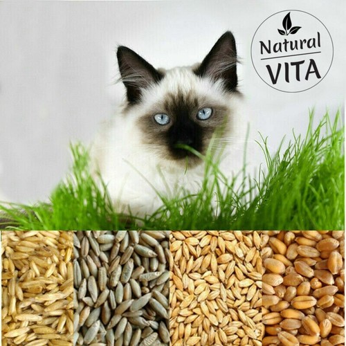 Organic cat oat - oat, barley