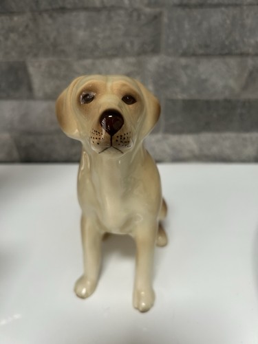 Ceramic labrador golden - ceramic,