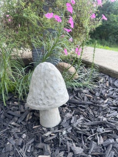 Decorative concrete mushroom - concrete,