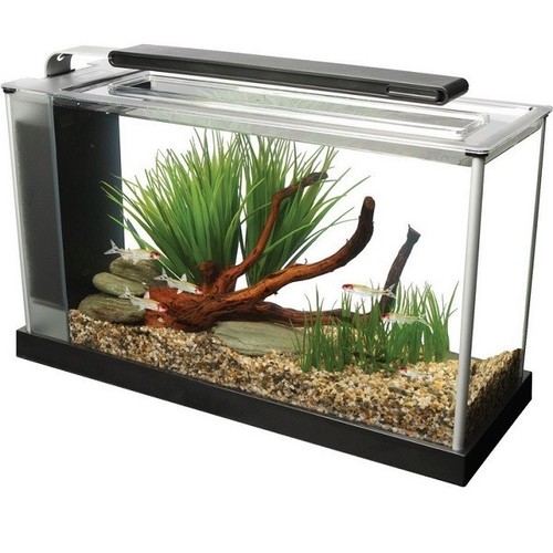 Fluval spec aquarium gloss - aquarium,