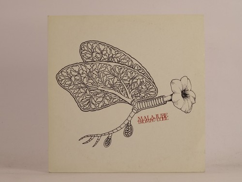 Malajube trompe oeil - malajube, trompe-l'oeil