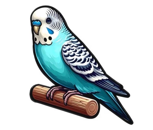 Beautiful blue budgie bird - blue,