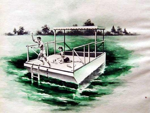 Pontoon boat party - boat, barge