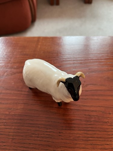 Black faced sheep john - faced,