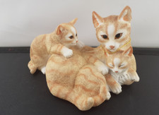 Ginger cat with - cat, family