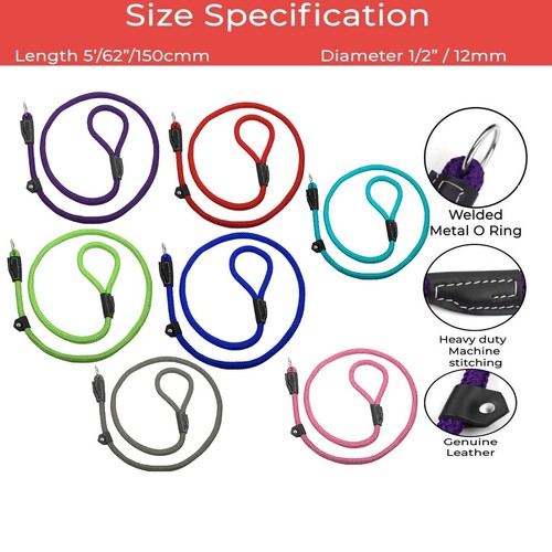 Dog slip pet - lead, hand