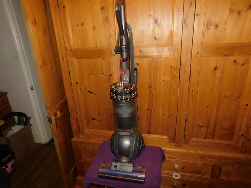 Dyson cinetic big ball animal - big,