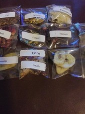 Land hermit crab food treat - land,