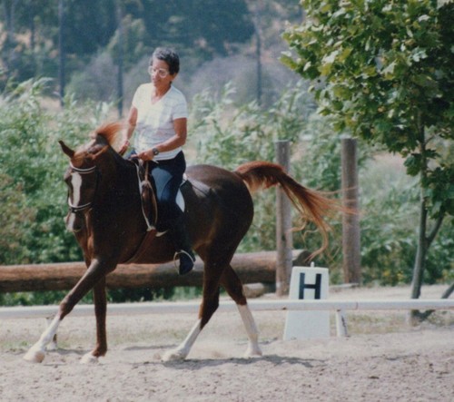 1990s woman horse rider - woman,