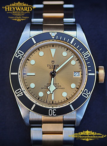 Tudor black bay - bay, –
