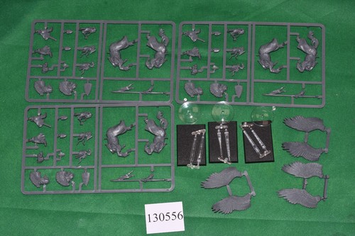 Fantasy bretonnia pegasus - bretonnia,