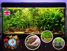 Father Fish Aquarium Substrate
