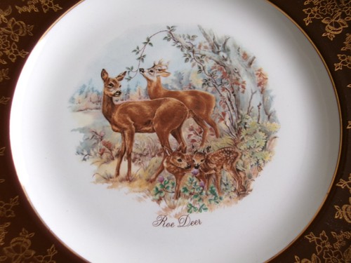 Decorative plate weatherby - decorative,