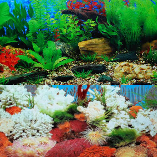 Aquarium plastic background - aquarium,